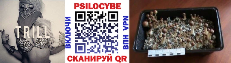 MEGA tor  Семилуки  Галлюциногенные грибы MAGIC MUSHROOMS 